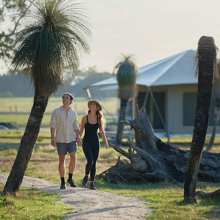 Willow Wood Glamping Retreat Broadwater ภายนอก รูปภาพ