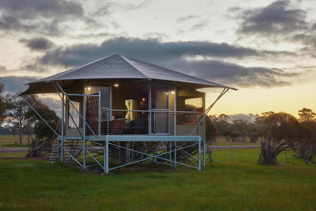 Willow Wood Glamping Retreat Broadwater ภายนอก รูปภาพ